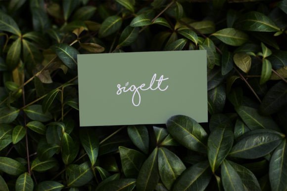 Digital Business Card Mockup