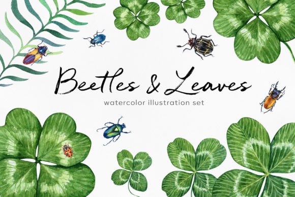 Evaluating the Watercolor Set Beetles and Leaves for Creative Design Projects