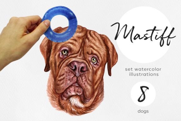 Mastiff. Watercolor 8 Dog Illustrations